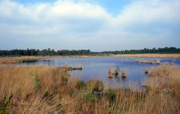 Aschener Moor/Heeder Moor