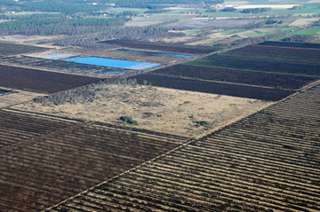 Aschener Moor/Heeder Moor