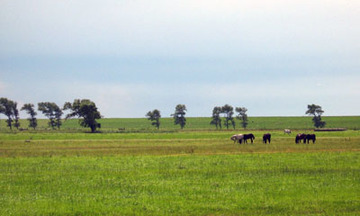 Marschen am Jadebusen - Ost