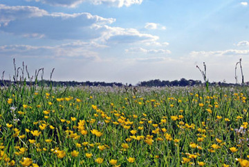 LSG Mittelradde - Marka - Südradde