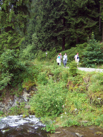 Wandern im Landschaftsschutzgebiet Harz
