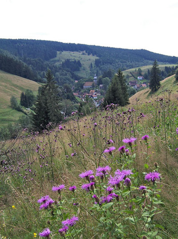 Harzer Dreiklang bei Wildemann