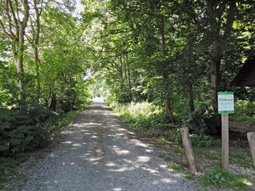 Lohnder-Almhorster Wald, Zuwegung von Westen