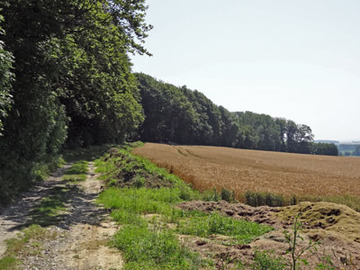 Gestorfer Lösshügel