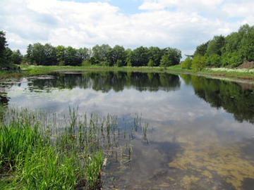 Baggerkolk Holthusen