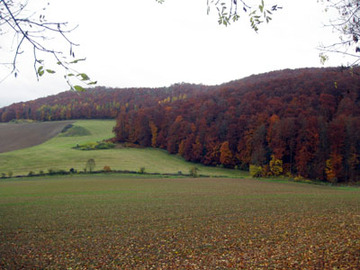 LSG Hube, Greener Wald und Luhberg