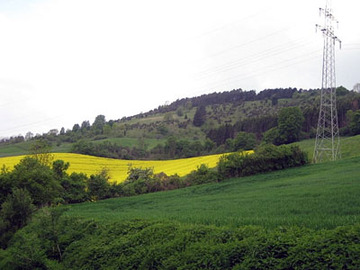 LSG Hube, Greener Wald und Luhberg