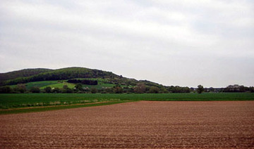 LSG Hube, Greener Wald und Luhberg