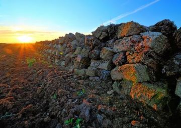 Torfabbau im Norden des Naturschutzgebietes