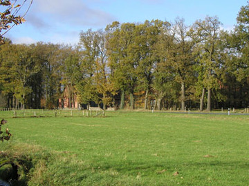 Hof mit Hofgehölzen am Südrand der Schleptrupper Egge