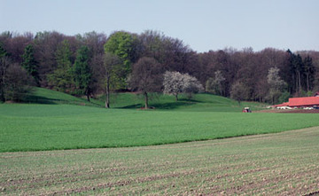 Blick auf das Wiehengebirge