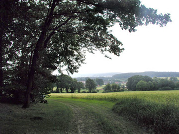 Osnabrücker Hügelland