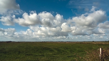 Ostfriesische Seemarsch zwischen Norden und Esens