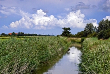 Ostfriesische Seemarsch zwischen Norden und Esens