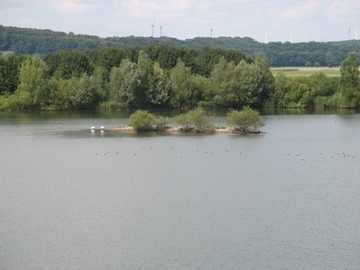 Liebenauer Gruben (Foto: F. Hennek / NABU)