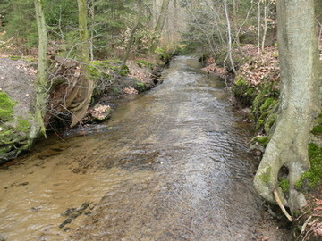 Der Bornbach bei Neumühle mit kiesiger Bachsohle