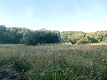 Sandbeekswiese, Blick Richtung Schapener Fors