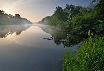 Altarm der Ems am Naturschutzgebiet "Borkener Paradies"