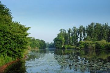 Altarm der Ems am Naturschutzgebiet "Borkener Paradies"