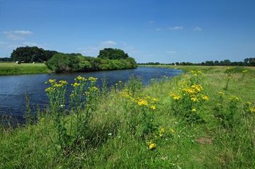 Die Ems am Rande des Naturschutzgebietes "Meppener Kuhweide"