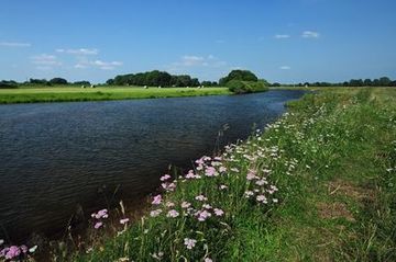 Die Ems am Rande des Naturschutzgebietes "Meppener Kuhweide"