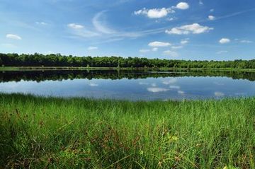 Der zentrale See im Naturschutzgebiet "Dörgener Moor"