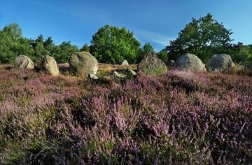 Großsteingrab im Naturschutzgebiet "Glaner Heide"