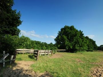 Beweidete Sandtrockenrasenfläche am Biener Busch