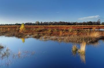 Herbstliche Impressionen aus dem Naturschutzgebiet "Esterweger Dose"
