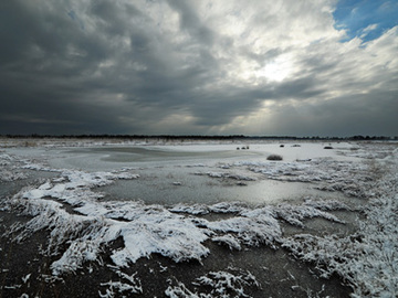 Eiskalter Wintertag im Naturschutzgebiet "Esterweger Dose"