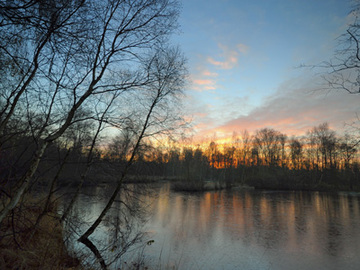 Spätherbstmorgen an einem wiedervernässten Torfstich im Naturschutzgebiet "Gellener Torfmöörte"