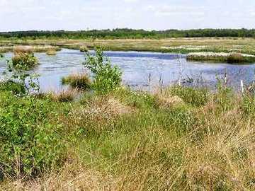 Lührsbockeler Moor