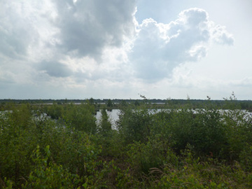 Blick über das Naturschutzgebiet "Provinzialmoor"