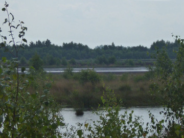 Wiedervernässungsbereiche im Naturschutzgebiet "Provinzialmoor"