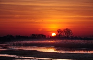 Wintermorgen über dem Naturschutzgebiet "Moorhauser Polder"