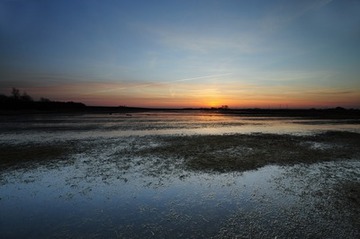 Überstautes Feuchtgrünland im NSG "Moorhauser Polder"