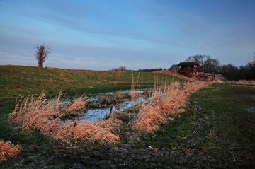 Der Damm am Rande des Moorhauser Polders