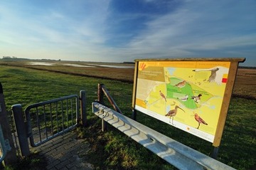 Neue Informationstafel der Stadt Oldenburg am Naturschutzgebiet "Bornhorster Huntewiesen"