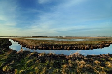 Graben und überstautes Feuchtgrünland im Naturschutzgebiet "Bornhorster Huntewiesen"