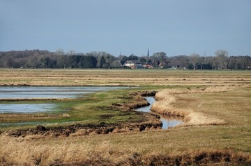 Wasserlauf und überstautes Feuchtgrünland im Naturschutzgebiet "Bornhorster Huntewiesen"