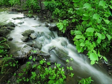 Naturnahe Strukturen im NSG "Obere Hunte"