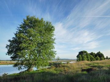 Polder im NSG "Vehnemoor"