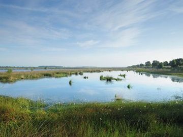 Polder im NSG "Vehnemoor"