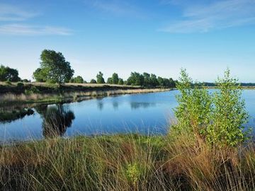 Polder im NSG "Vehnemoor"