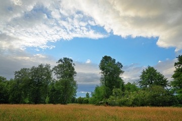 Foto aus dem Naturschutzgebiet Obere Wümmeniederung