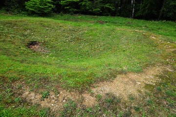 "Pinge" (Schürftrichter) im NSG "Silberberg"