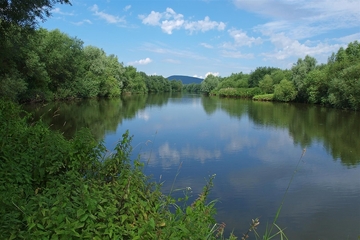 Auenlandschaft Hohenrode