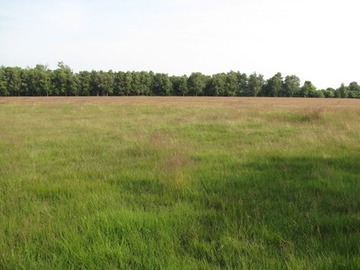 Überblick über die Magerwiese