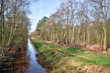 Geestrandgraben im Naturschutzgebiet "Holler- und Wittemoor"