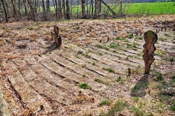 Historischer Bohlenweg im Naturschutzgebiet "Holler- und Wittemoor"